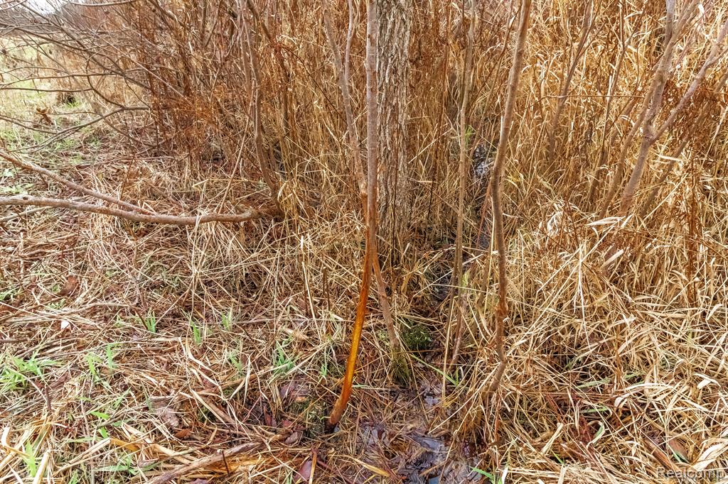 Vl Roods Lake Road Property Photo 7