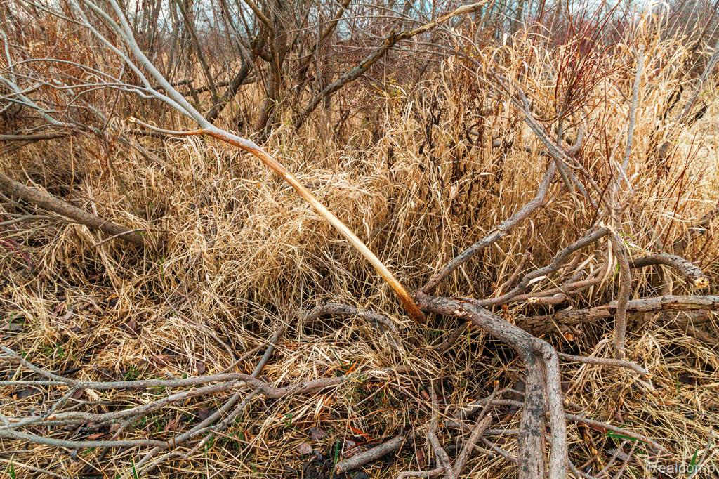 Vl Roods Lake Road Property Photo 8