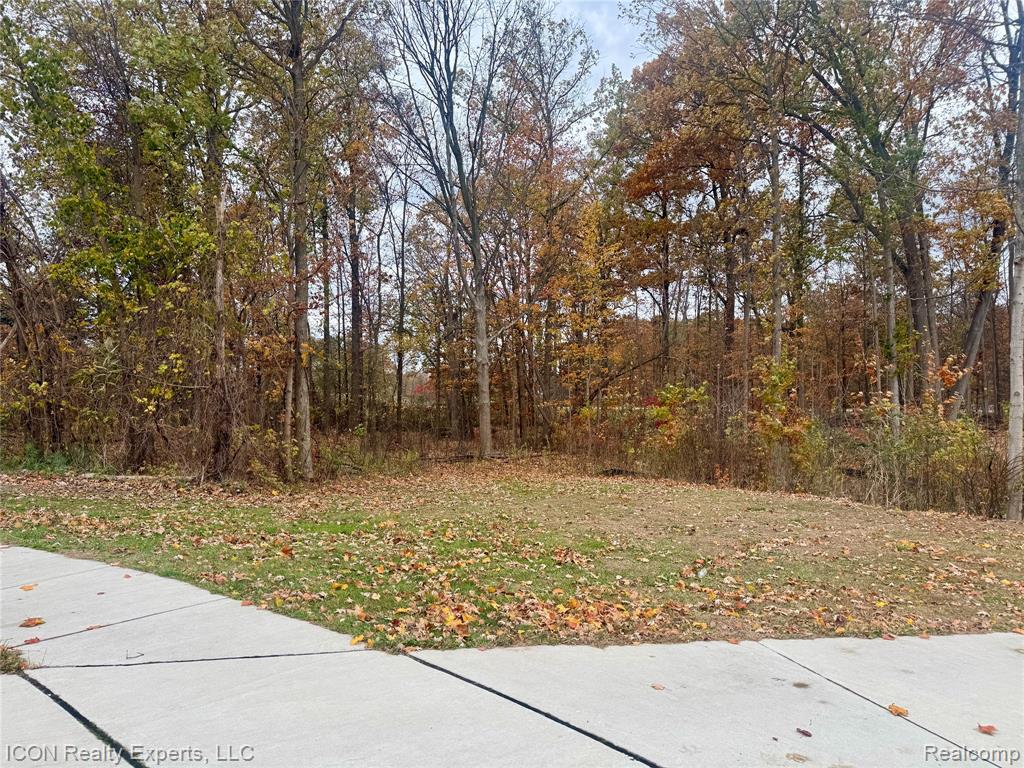 10380 Excalibur Drive Property Photo 3