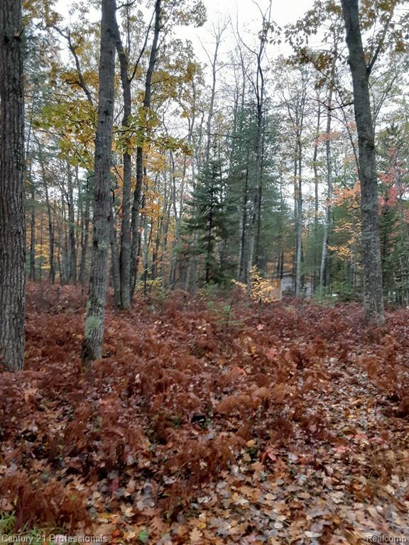6710 Chippewa Trail Property Photo 1