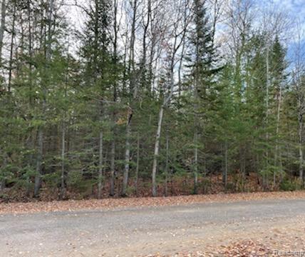 9763 High Banks Property Photo 1