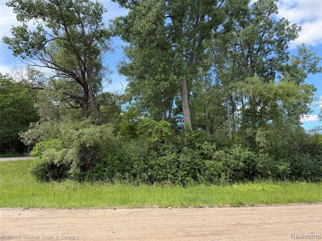 0 Ben Hur Drive Property Photo 2