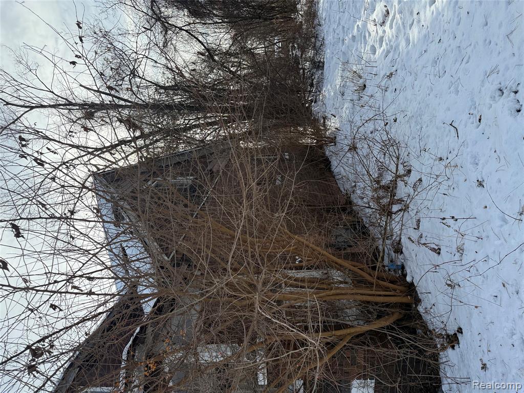8611 Chalfonte Street Property Photo 4