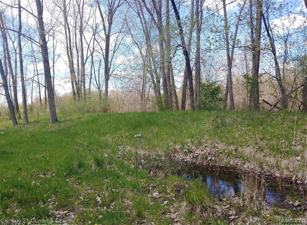 16620 Vining Road Property Photo 3
