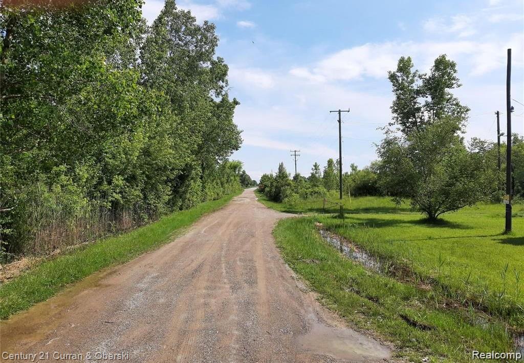 16620 Vining Road Property Photo 4