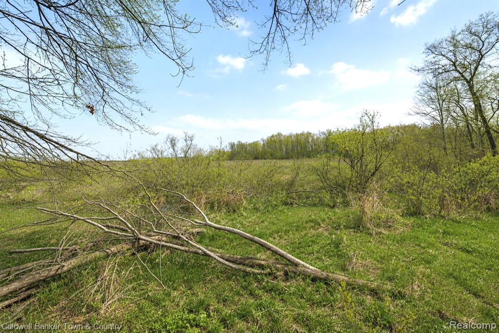 Vl Spears Property Photo 3