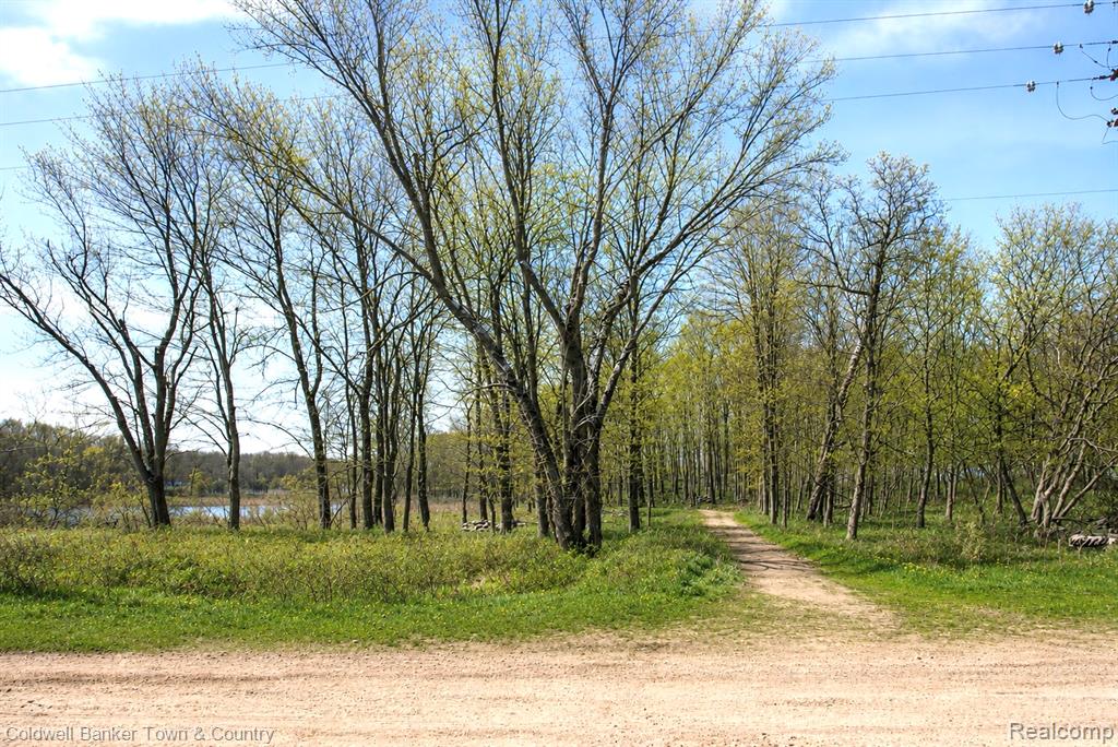 Vl Spears Property Photo 5
