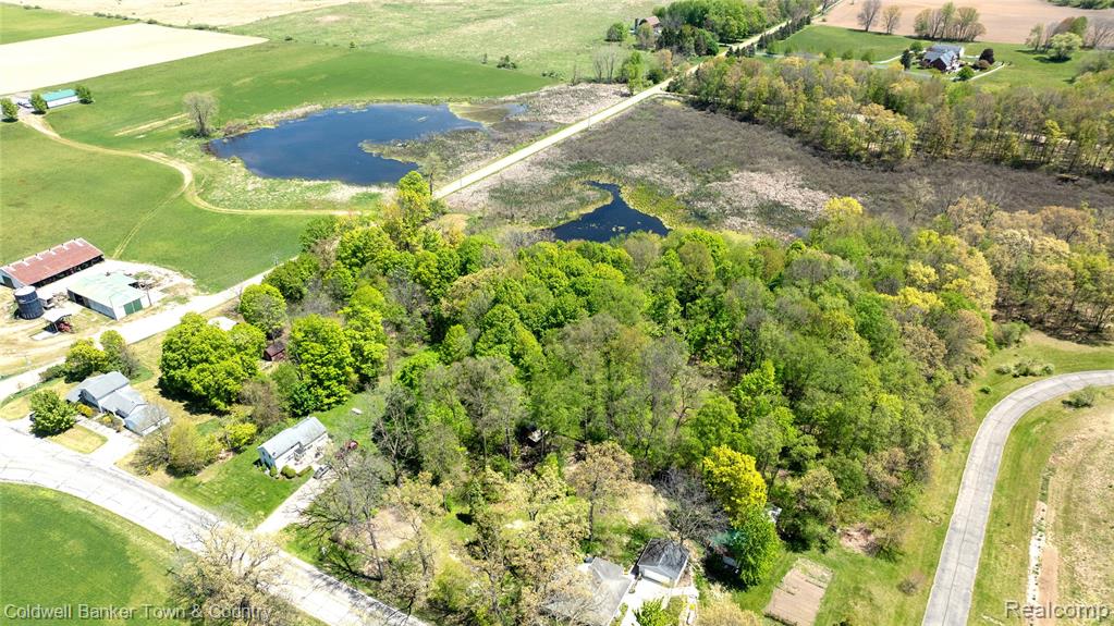 Vl Spears Property Photo 8