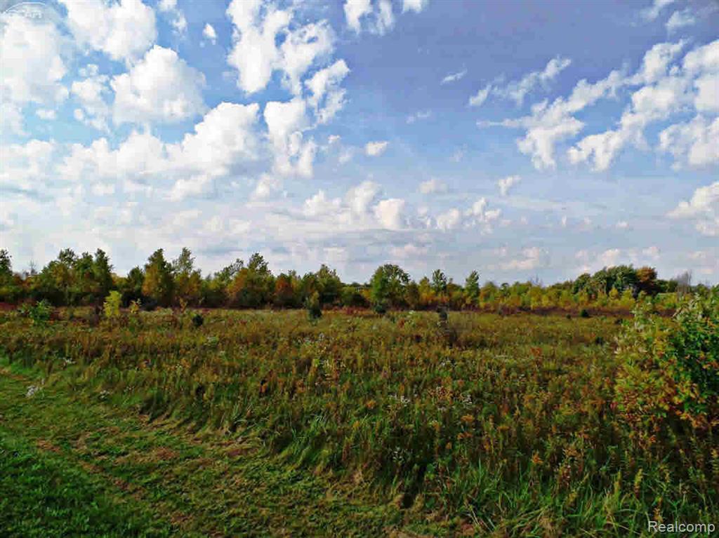 9147 Corunna Road Property Photo 1