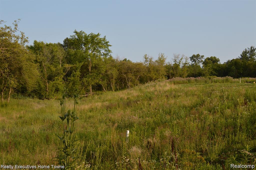 54620 Washington Property Photo 3