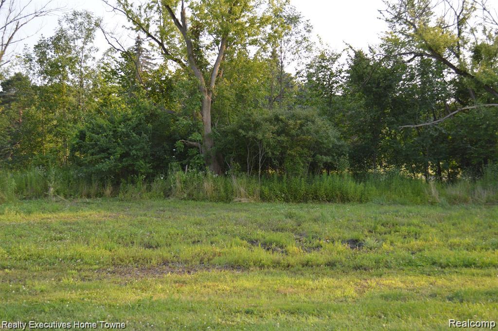 54620 Washington Property Photo 7
