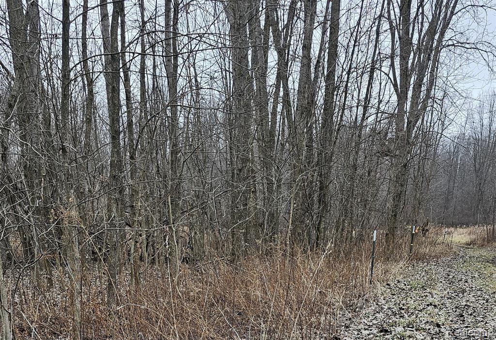 000 Chase Lake Rd Property Photo 1