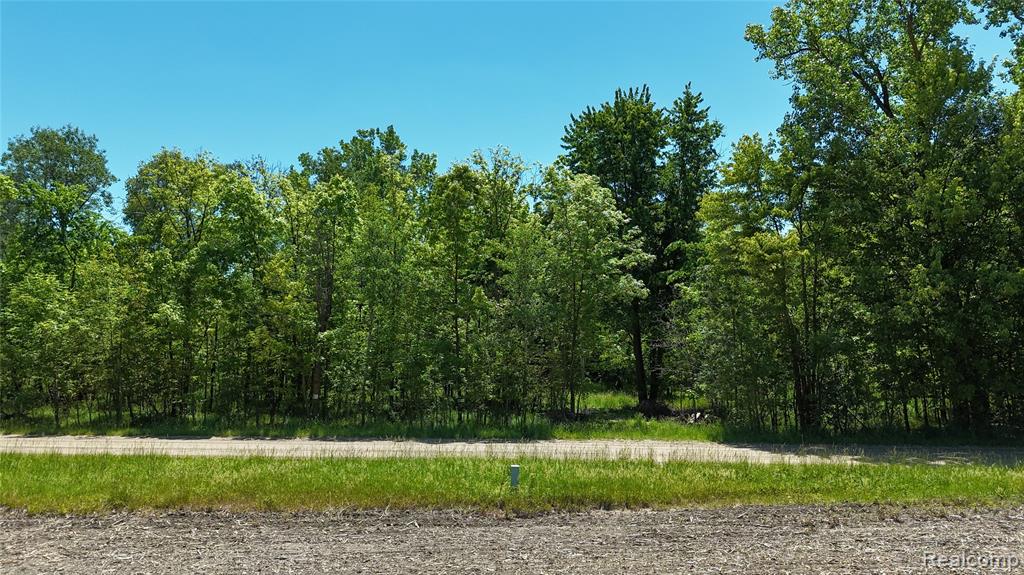 0 Williams Road Property Photo 1