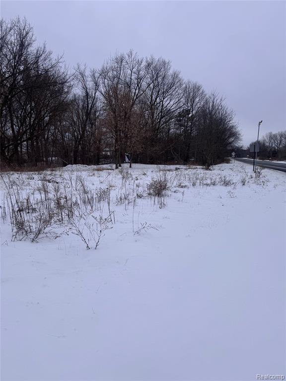 8545 Jackson Road Property Photo 12