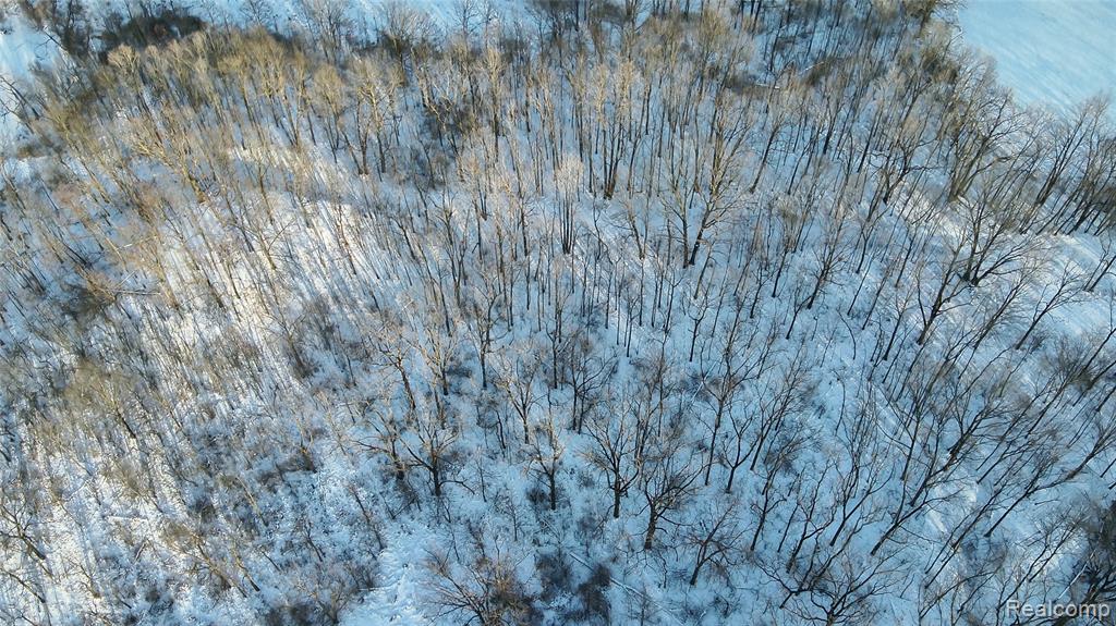 V/l W Us-12 Highway Property Photo 24