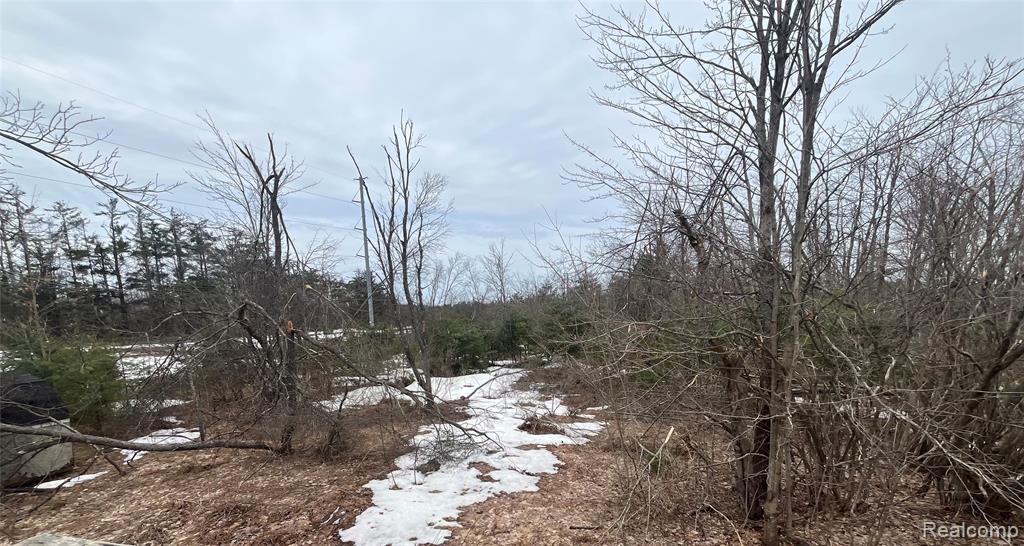 Lot 41 Altorf Strasse Property Photo 1