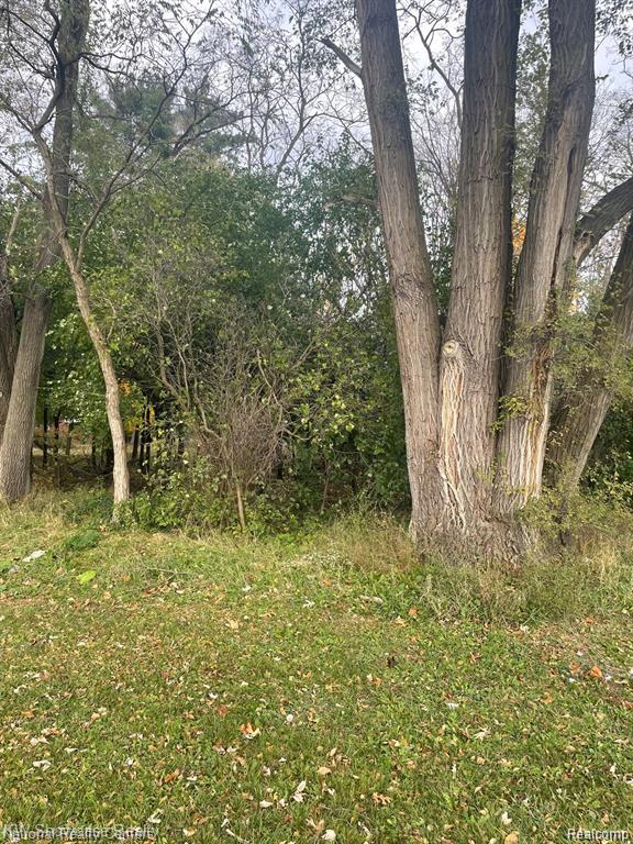 0000 Reed Lake Road Property Photo 1
