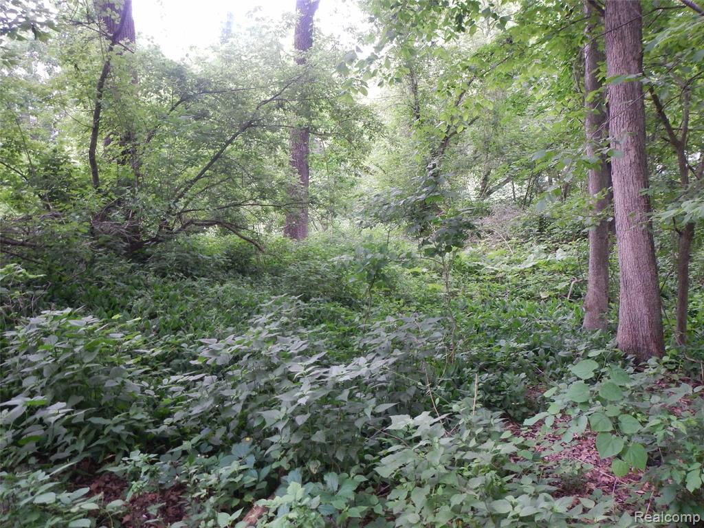 00000 Johnson Drive | Lot 5 Property Photo 2