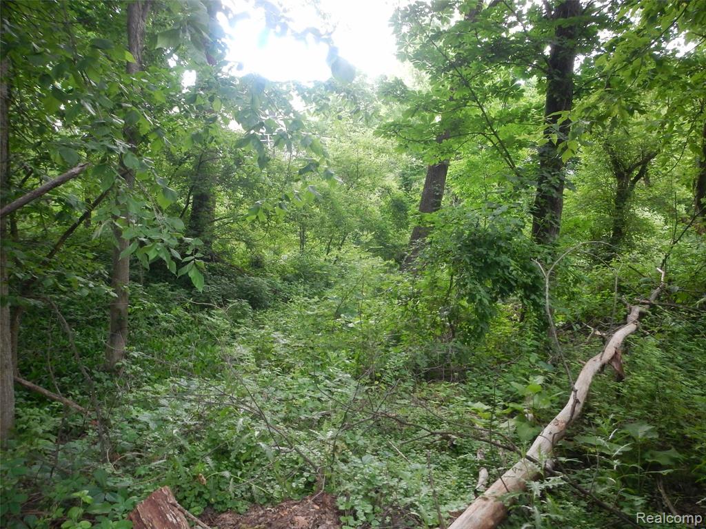 000 Johnson Drive | Lot 3 Property Photo 2