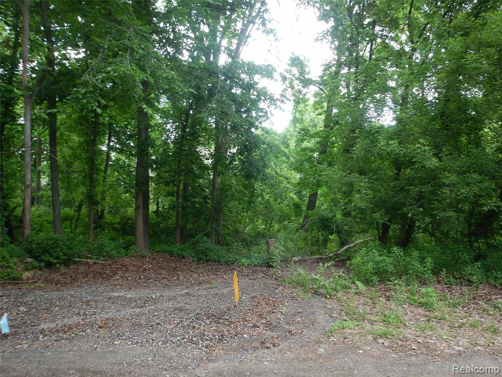 0 Johnson Drive | Lot 1 Property Photo 1
