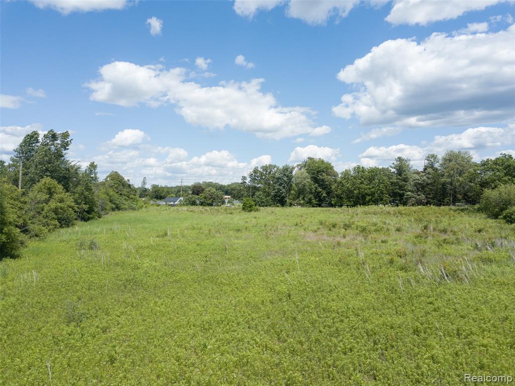 10467 Willis Road Property Photo 5