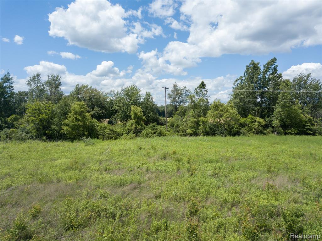 10467 Willis Road Property Photo 9