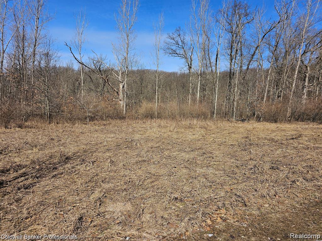 0 Jamestown Drive Property Photo 5