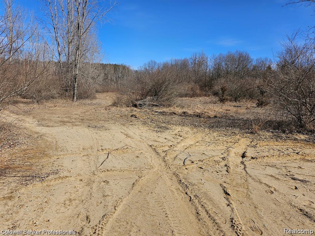 0 Jamestown Drive Property Photo 7