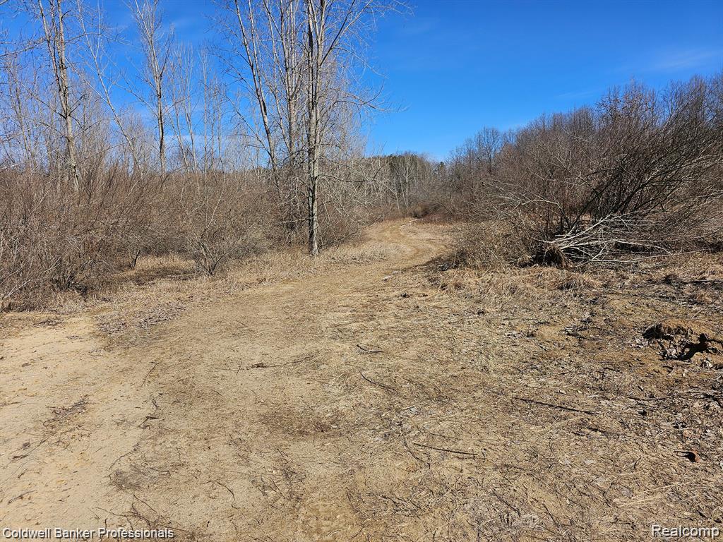 0 Jamestown Drive Property Photo 8