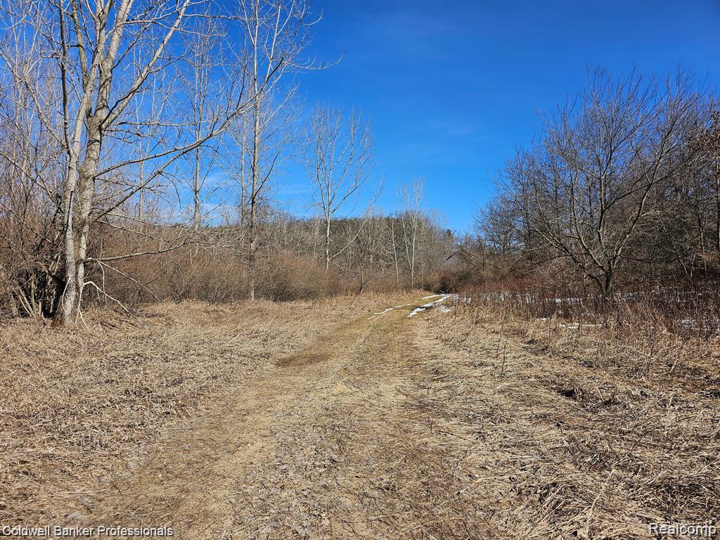 0 Jamestown Drive Property Photo 10