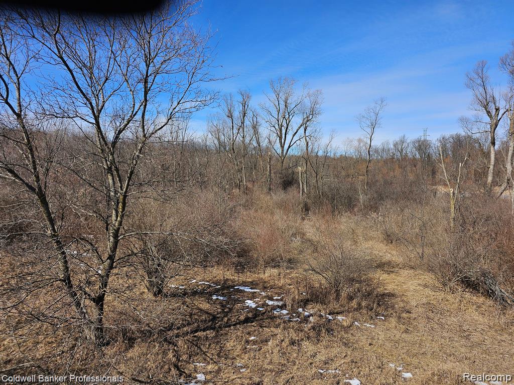 0 Jamestown Drive Property Photo 13
