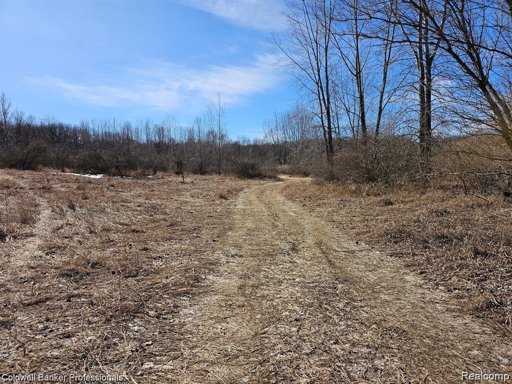 0 Jamestown Drive Property Photo 18