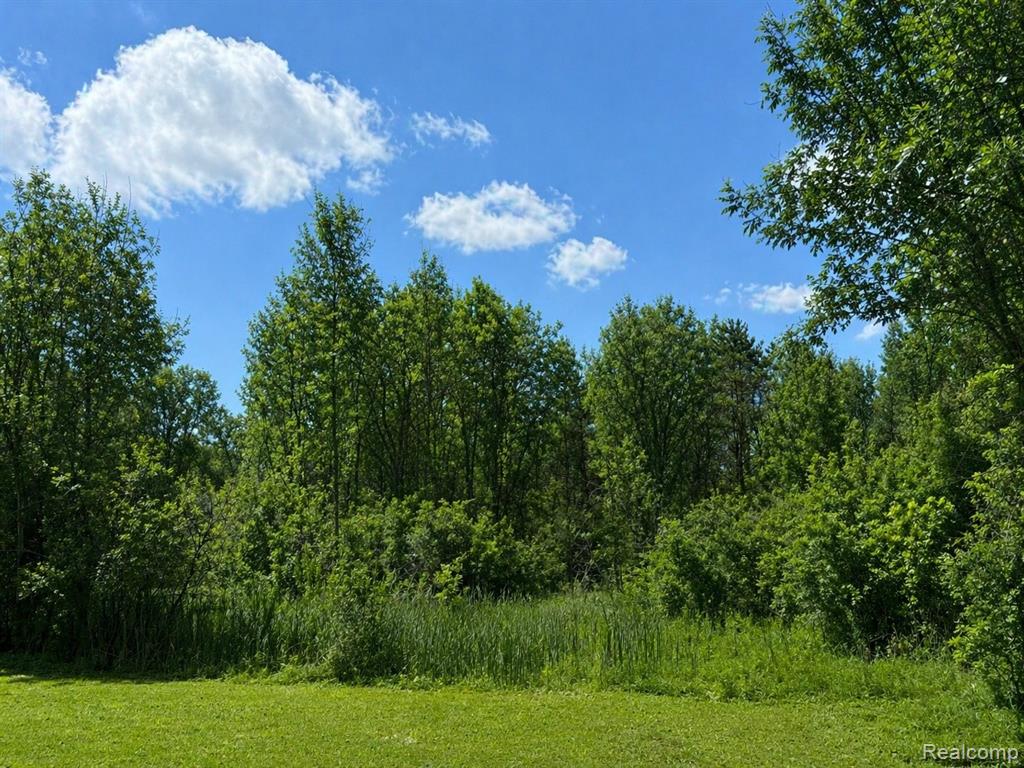 1223 Lexa Lane Property Photo 3