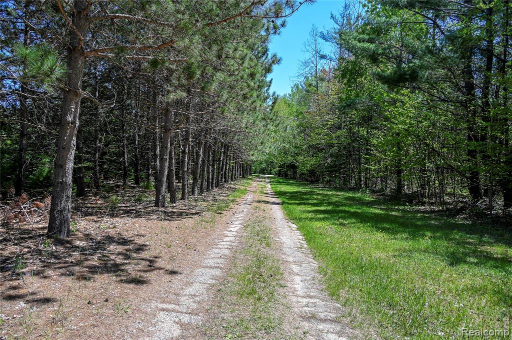 1094 Blamer Road Property Photo 62