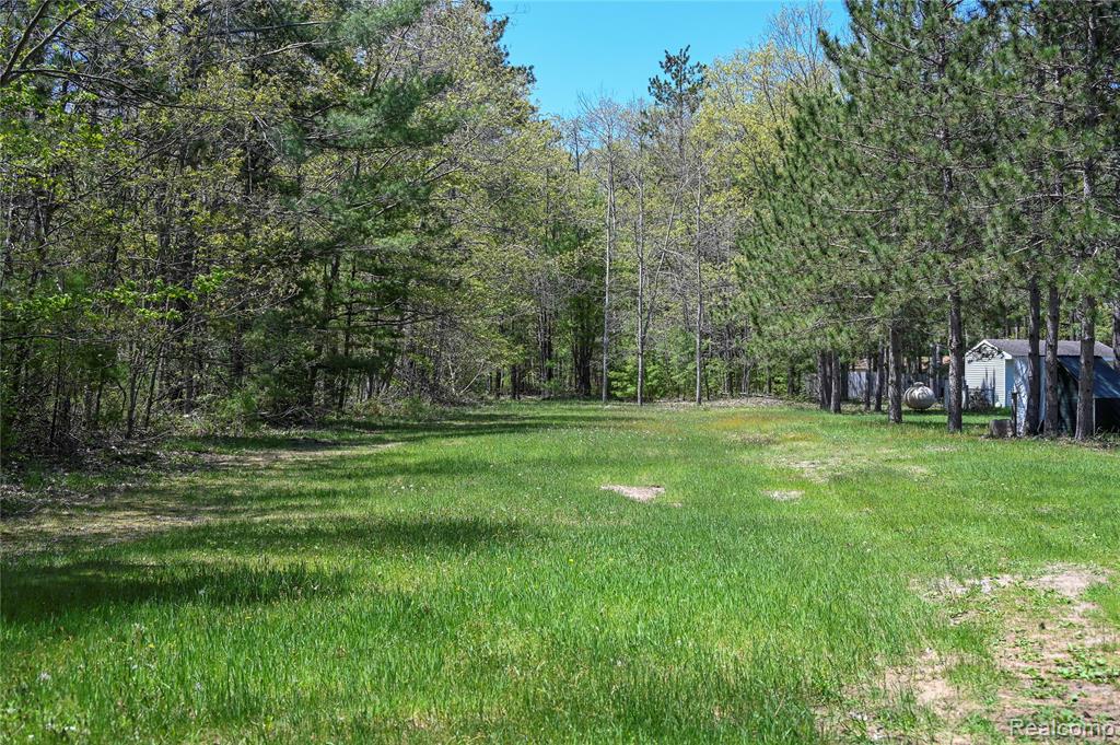 1094 Blamer Road Property Photo 64