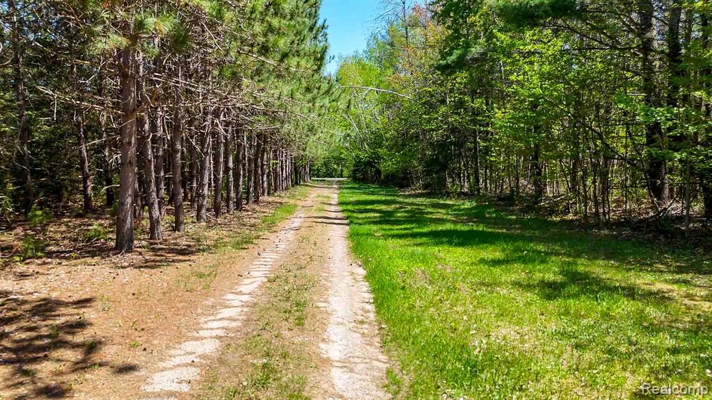 1094 Blamer Road Property Photo 89