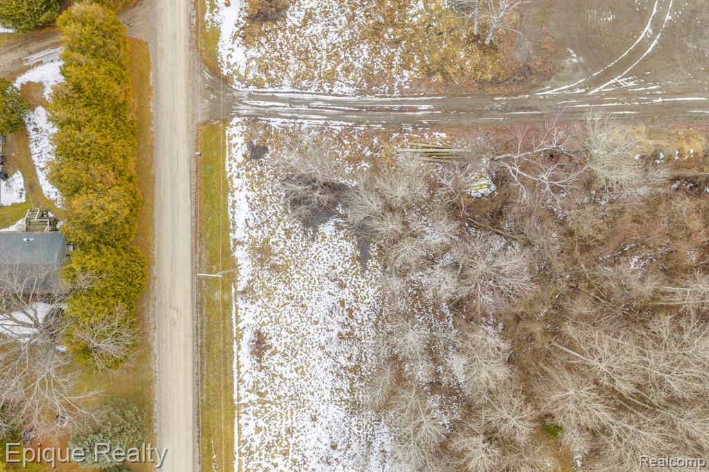 0000 Orchid Property Photo 2