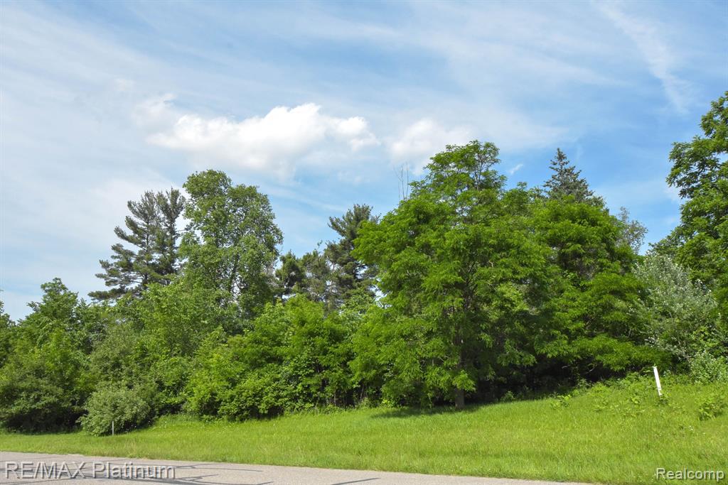 35 Shannon Glen Drive Property Photo 6