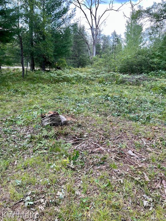 6629 S Tampa Property Photo 5