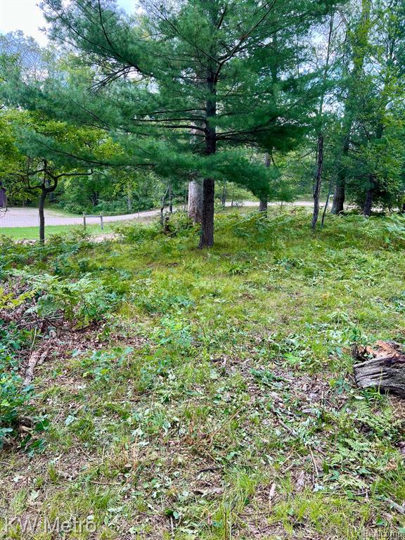 6629 S Tampa Property Photo 6