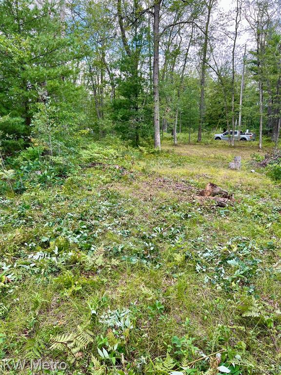 6629 S Tampa Property Photo 9