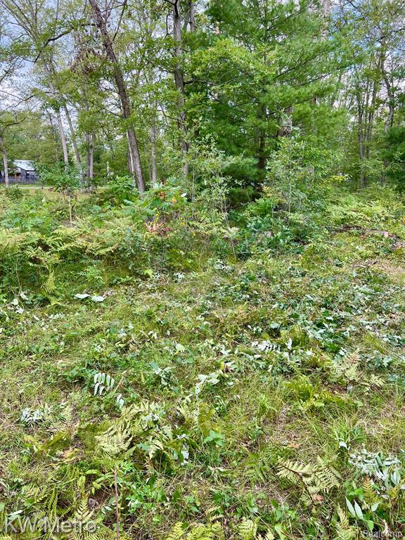 6629 S Tampa Property Photo 10