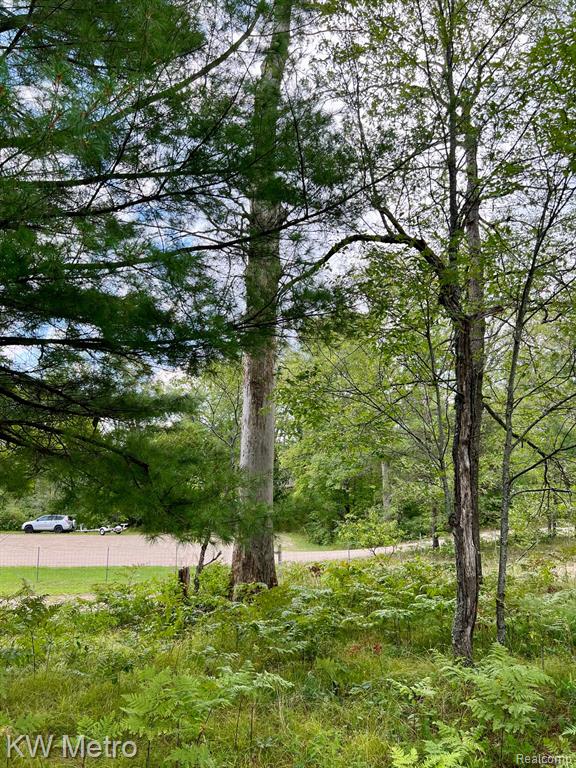 6629 S Tampa Property Photo 12