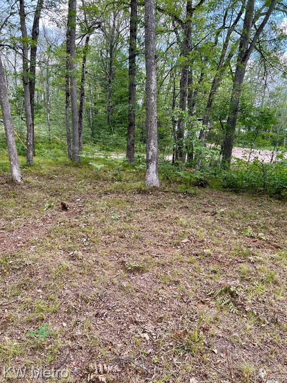 6629 S Tampa Property Photo 14