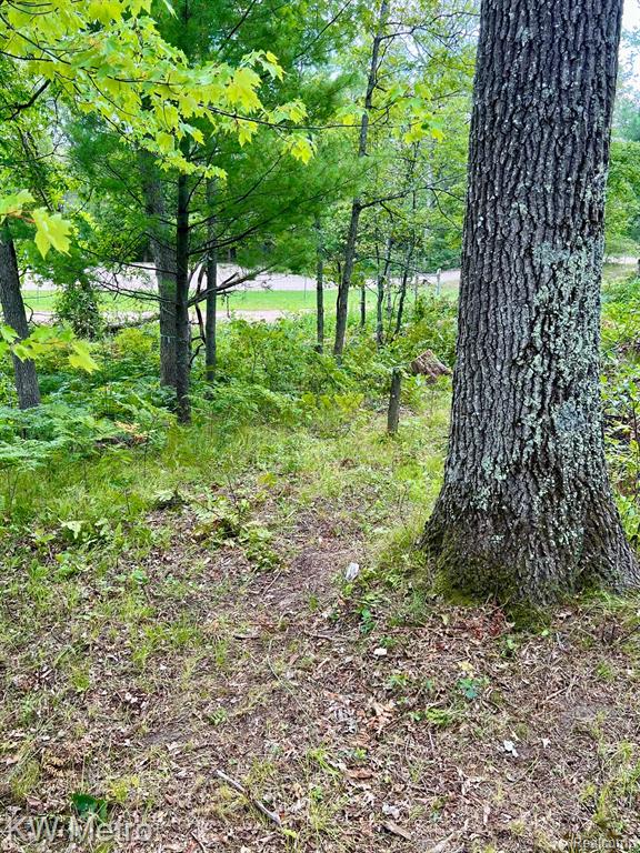 6629 S Tampa Property Photo 16