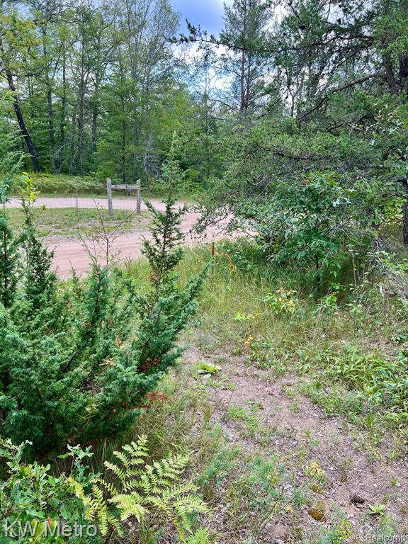 6629 S Tampa Property Photo 18
