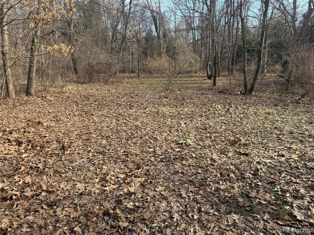 2096 Hunter Road Property Photo 1