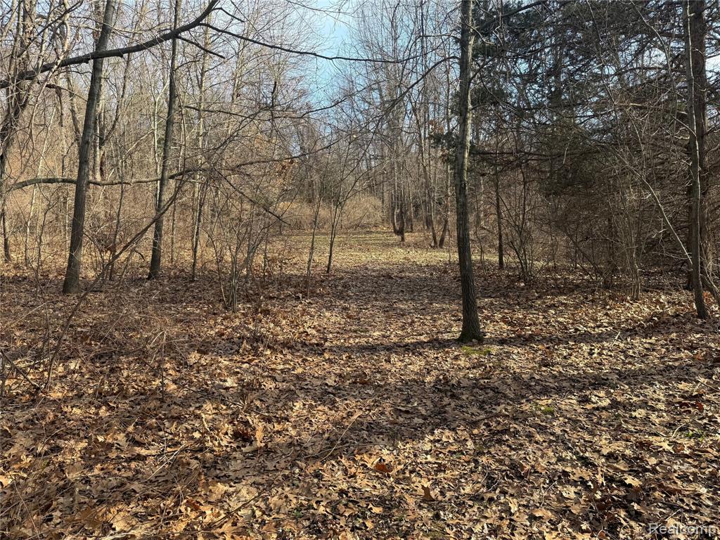 2096 Hunter Road Property Photo 6