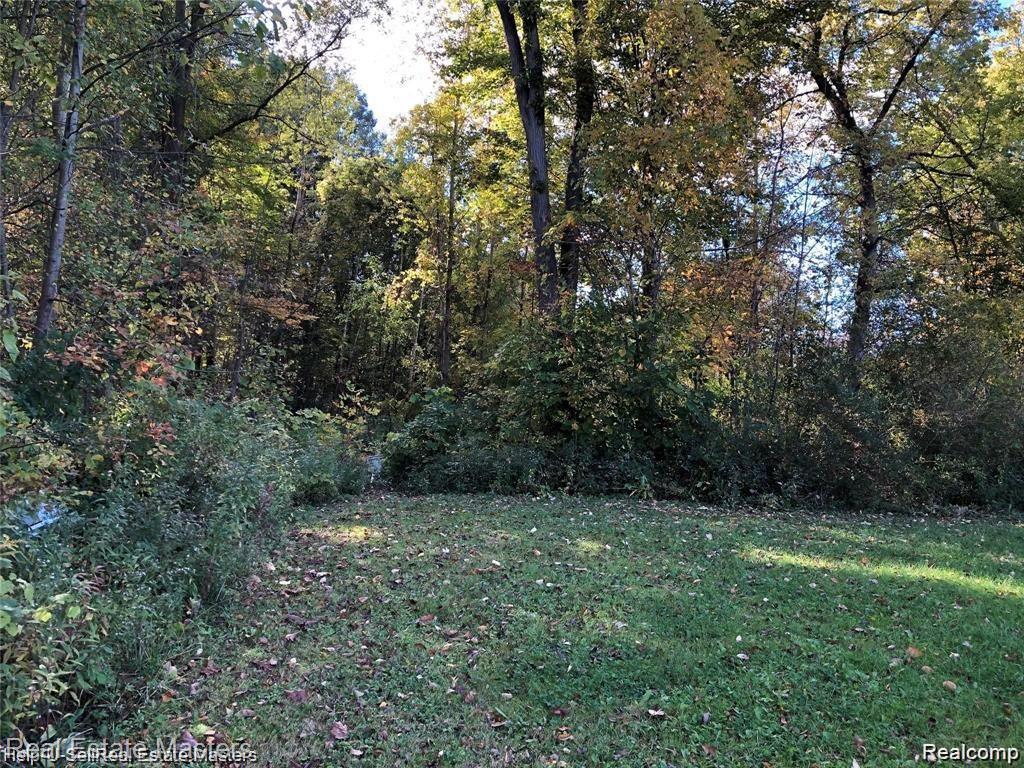 7627 Lapeer Road Property Photo 3