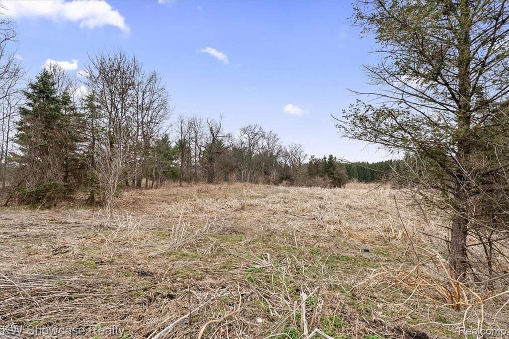 00 Hitchcock Road Property Photo 6